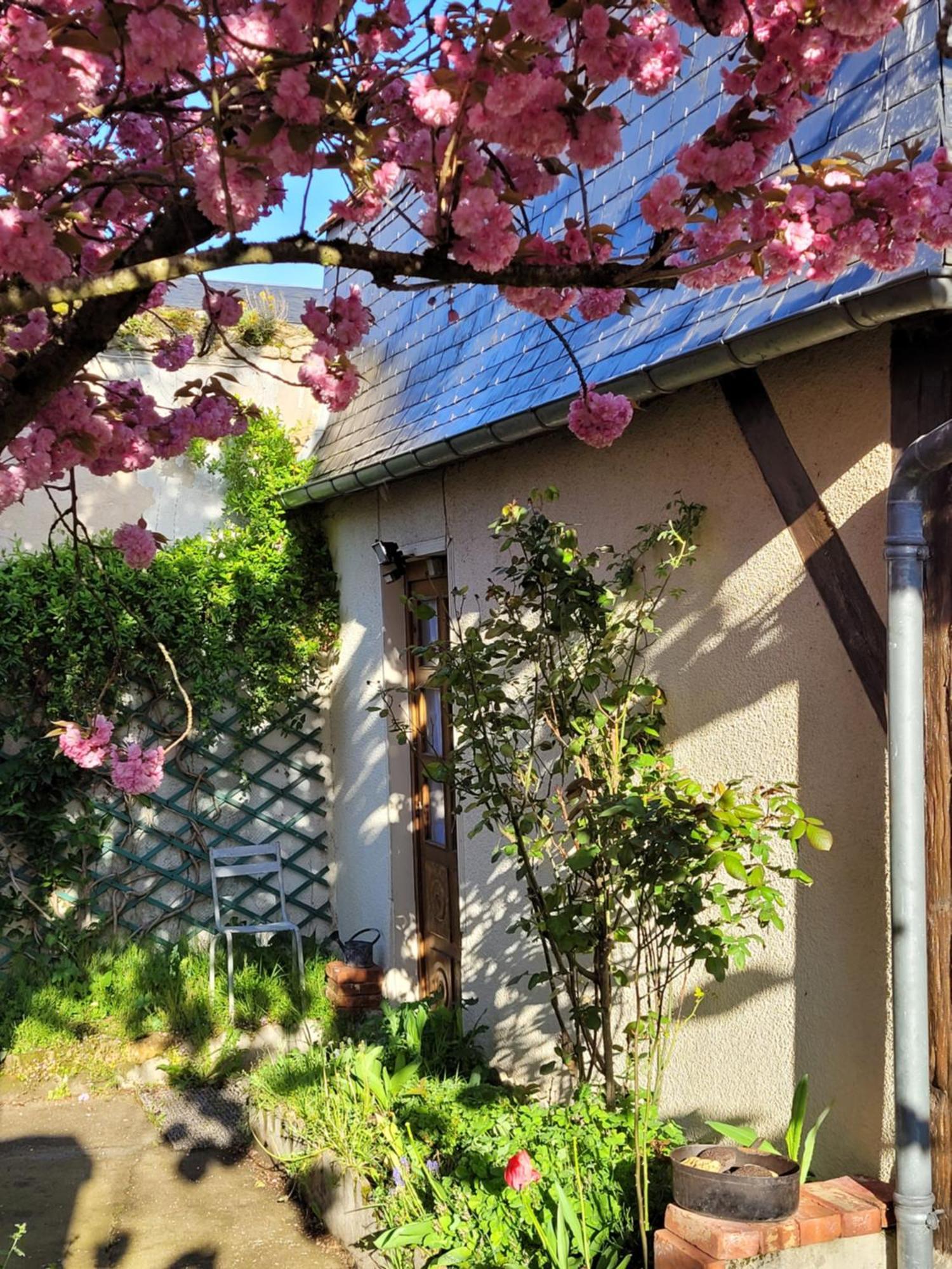 La Cour Du Chateau La Charite-sur-Loire Luaran gambar